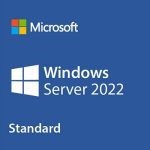 Microsoft Windows Server 2022 Standard
