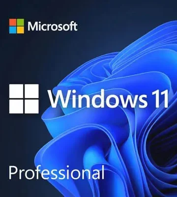 Microsoft Windows 11 Pro 1-PC USB Product Key in Box