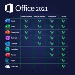 Microsoft Office Pro Plus 2021